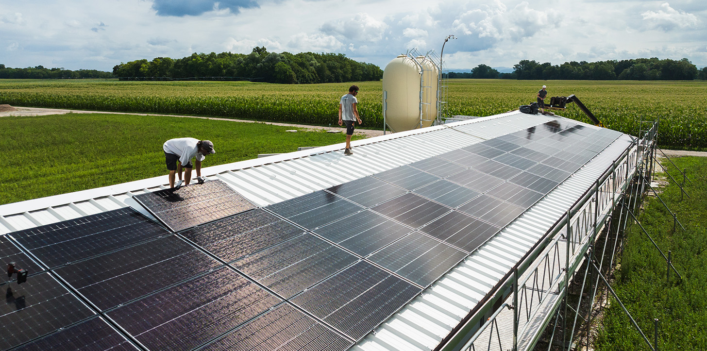 découvrez les acteurs clés du marché des panneaux photovoltaïques en france. explorez les innovations, les entreprises leaders et les solutions durables offertes pour une transition énergétique réussie.