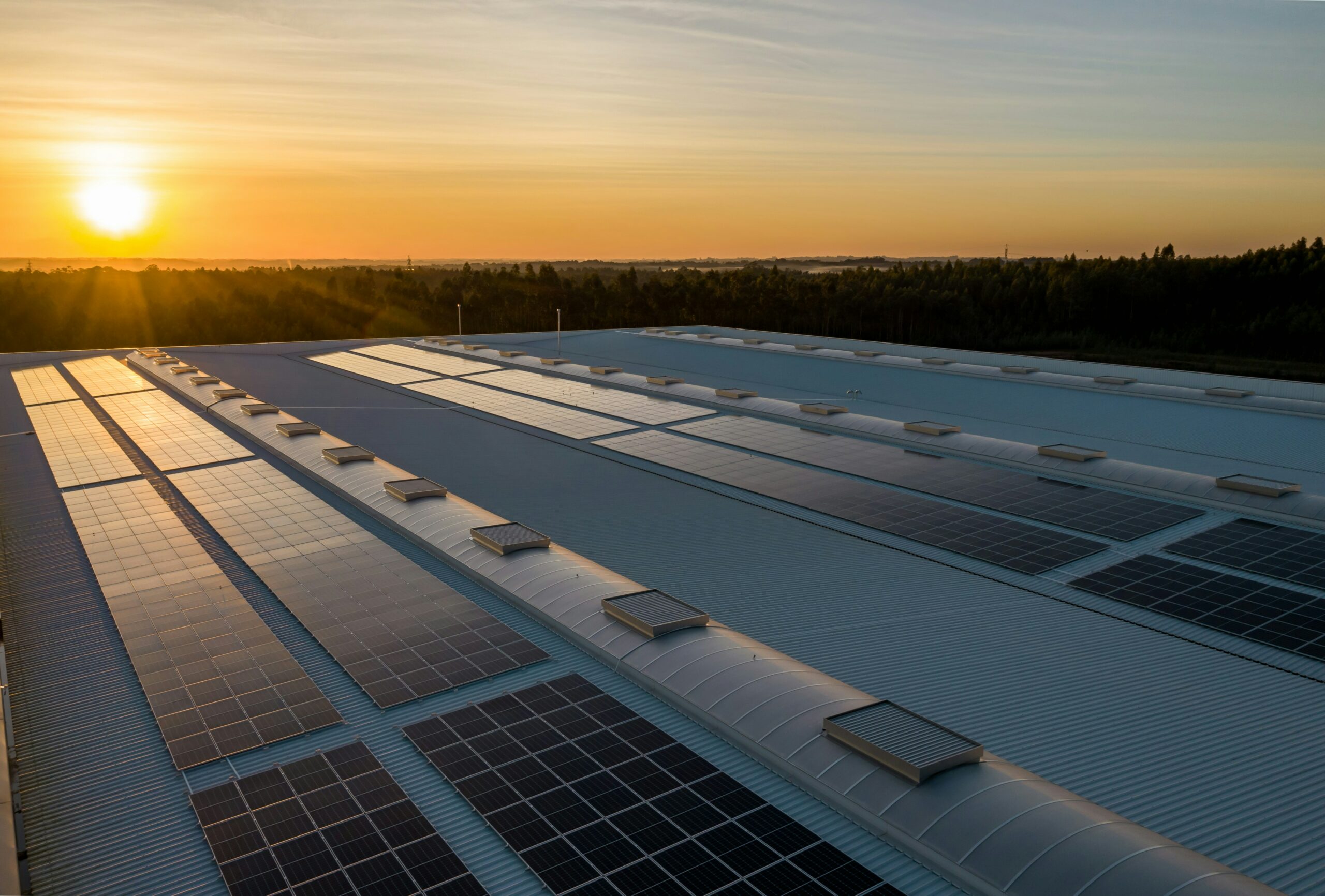 découvrez notre argumentaire complet sur les panneaux photovoltaïques, qui détaille leurs avantages écologiques, économiques et techniques. informez-vous sur la réduction des factures d'énergie, la valorisation de votre patrimoine et l'importance de l'énergie renouvelable pour un avenir durable.