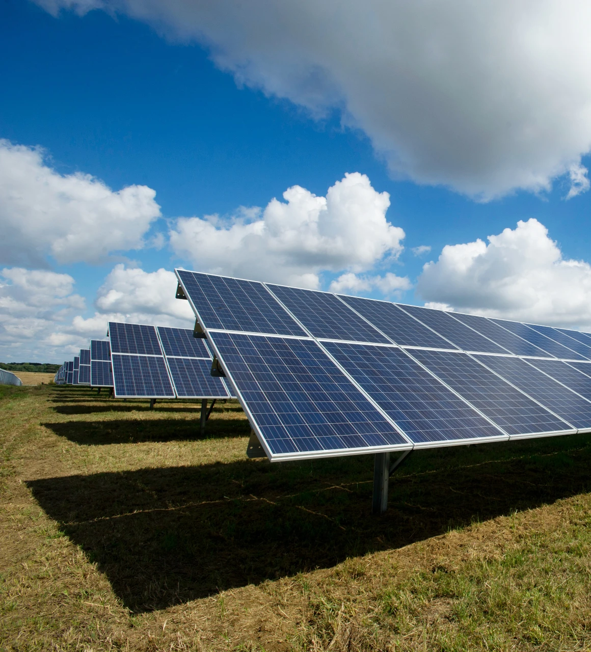 protégez votre investissement en panneaux solaires avec notre assurance spécialisée. bénéficiez d'une couverture complète contre les dommages, le vol et les défauts techniques, tout en garantissant un rendement optimal de votre installation. découvrez comment notre assurance panneaux solaires peut vous offrir tranquillité d'esprit et sécurité financière.
