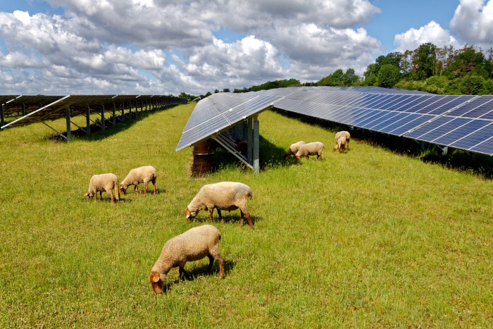 découvrez comment un avocat spécialisé en panneaux solaires peut vous aider dans vos projets d'énergie renouvelable. obtenez des conseils juridiques sur les réglementations, la distribution et les droits liés à l'installation de panneaux solaires. assurez votre transition énergétique en toute légalité.