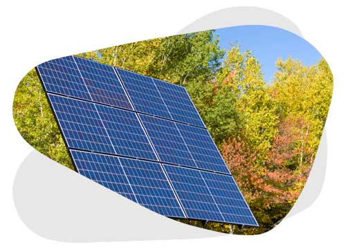 découvrez comment les consommateurs adoptent les panneaux photovoltaïques pour réduire leur empreinte carbone et réaliser des économies d'énergie. explorez les avantages, les tendances du marché et les conseils pour maximiser votre investissement dans l'énergie solaire.