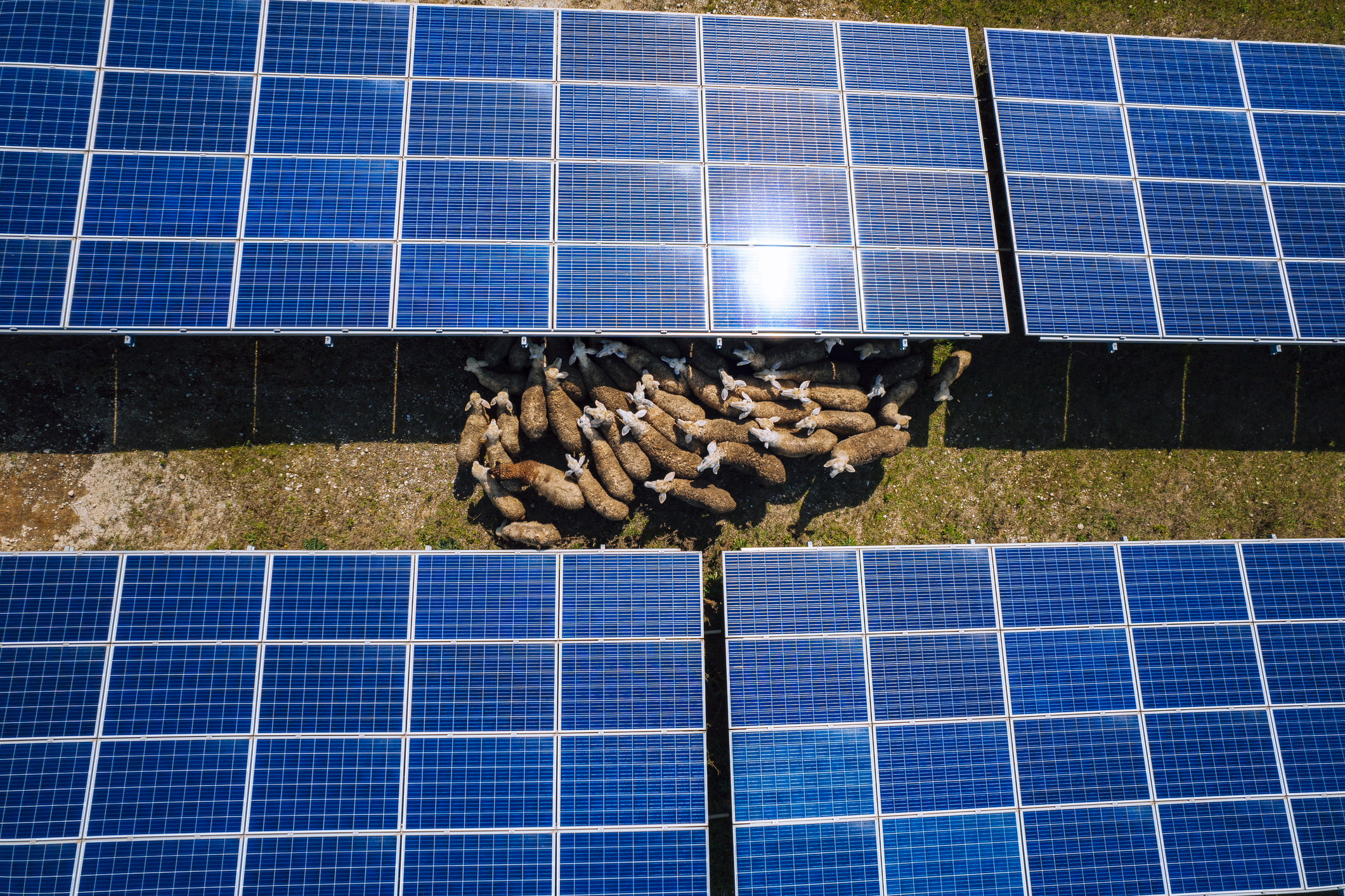 découvrez les enjeux légaux liés aux panneaux photovoltaïques, de l'installation aux normes environnementales, et comment naviguer dans cette législation pour optimiser votre projet énergétique.