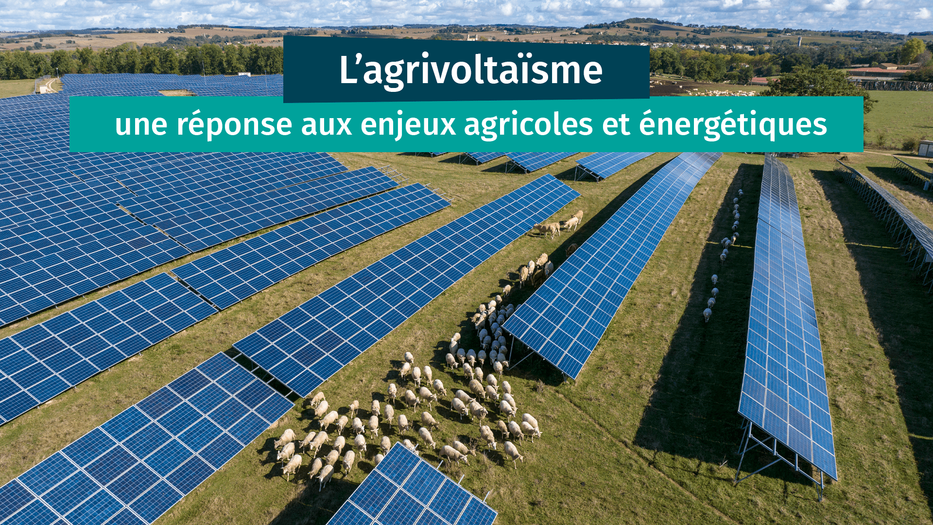 découvrez les enjeux photovoltaïques, essentiels pour la transition énergétique et la durabilité. explorez les défis et opportunités liés à l'énergie solaire, ainsi que son impact sur notre environnement et notre économie.