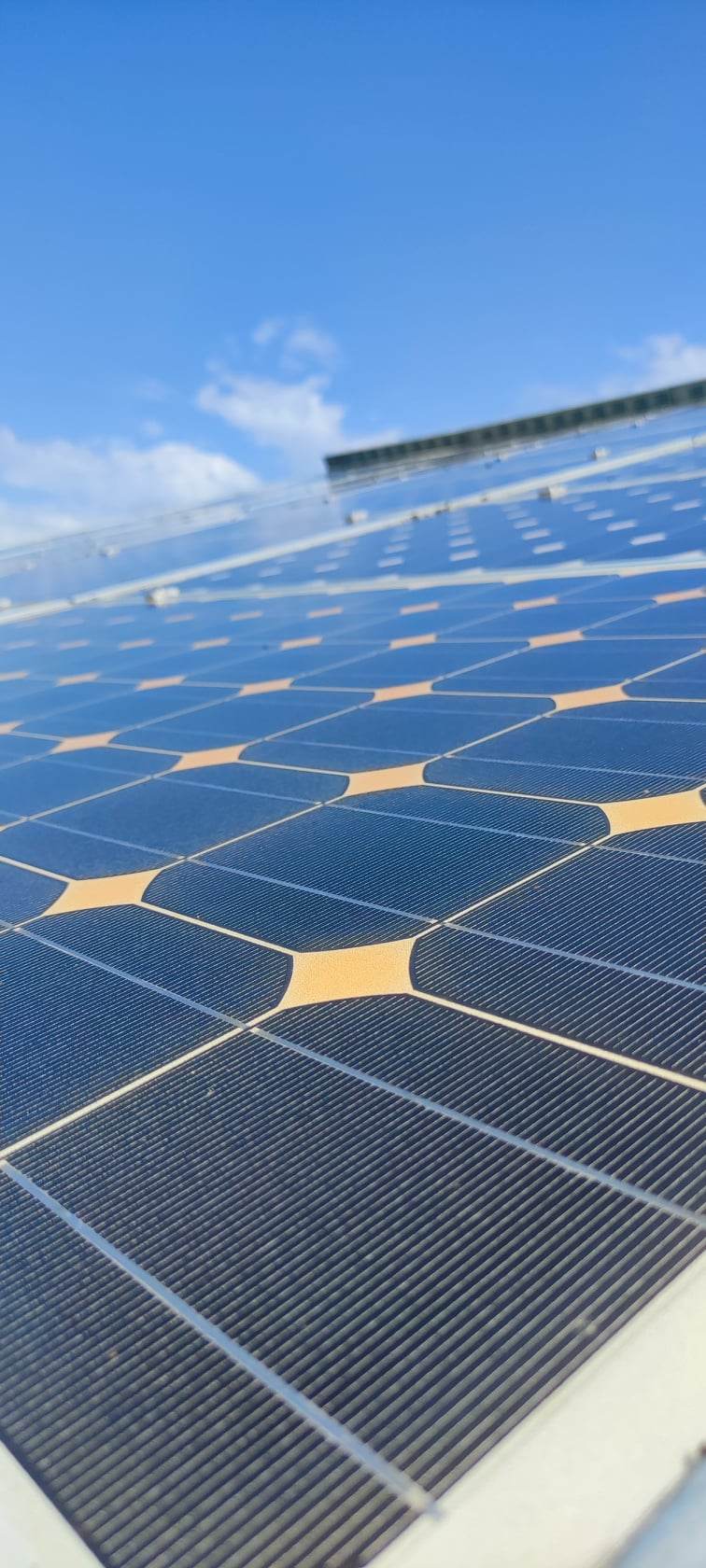 découvrez comment le lichen peut affecter les panneaux photovoltaïques, en explorant son impact sur la performance énergétique et les solutions pour le combattre.
