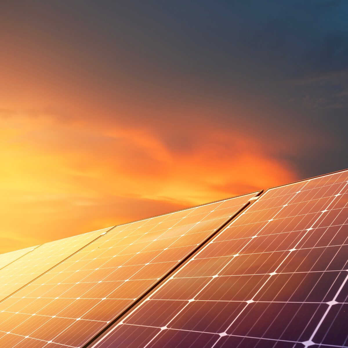 découvrez les panneaux photovoltaïques durables, une solution écologique et économique pour produire votre propre énergie solaire. optez pour l'énergie renouvelable et faites des économies tout en préservant l'environnement.