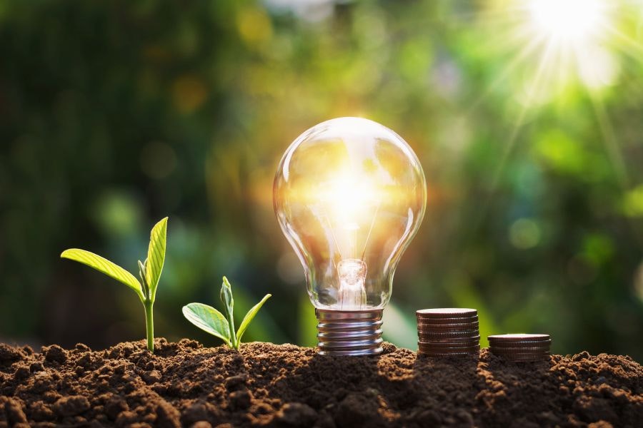 découvrez les panneaux photovoltaïques thomson, une solution écologique et économique pour produire votre propre énergie. avec des performances optimales et un design élégant, ces panneaux sont idéaux pour réduire vos factures d’électricité et contribuer à la protection de l’environnement.