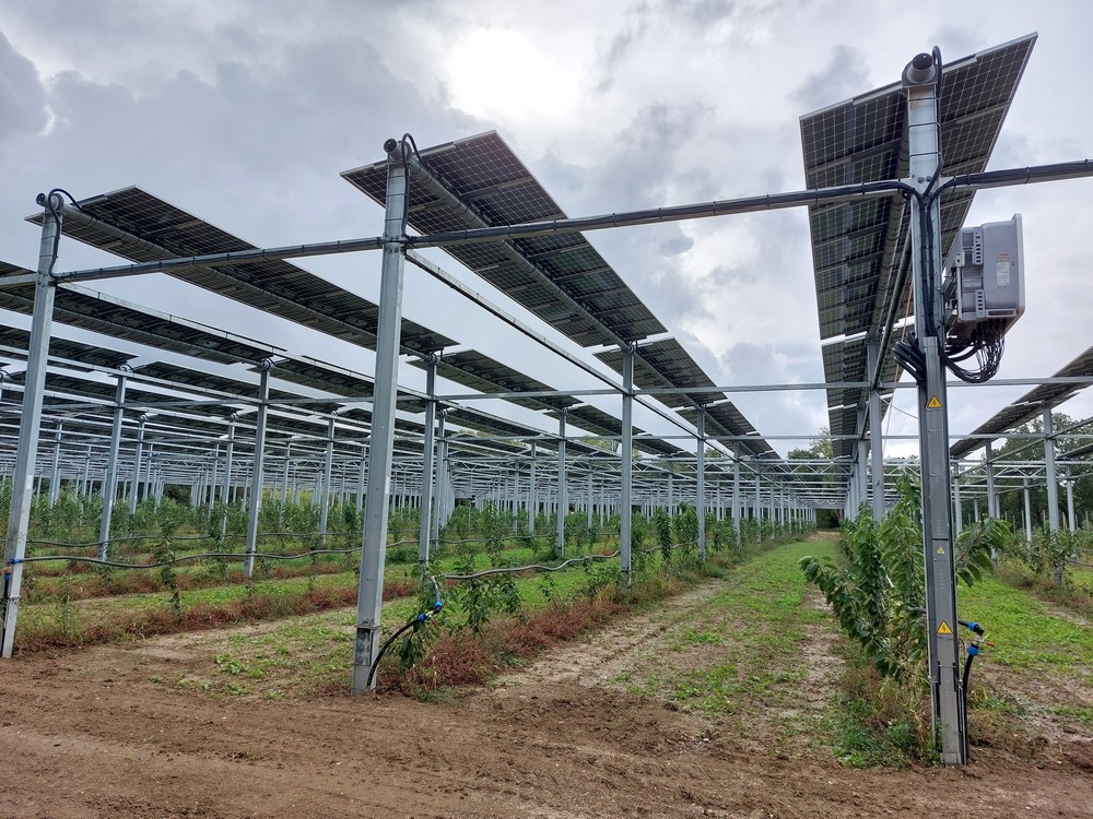 découvrez comment les systèmes photovoltaïques révolutionnent l'agriculture en optimisant la production d'énergie tout en préservant l'environnement. explorez les avantages, les technologies innovantes et les témoignages d'agriculteurs qui intègrent cette solution durable pour un avenir agricole prospère.