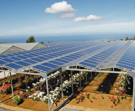 découvrez comment les systèmes photovoltaïques transforment l'agriculture en offrant des solutions énergétiques durables. explorez les avantages, les applications et les innovations liées à l'énergie solaire dans le secteur agricole.