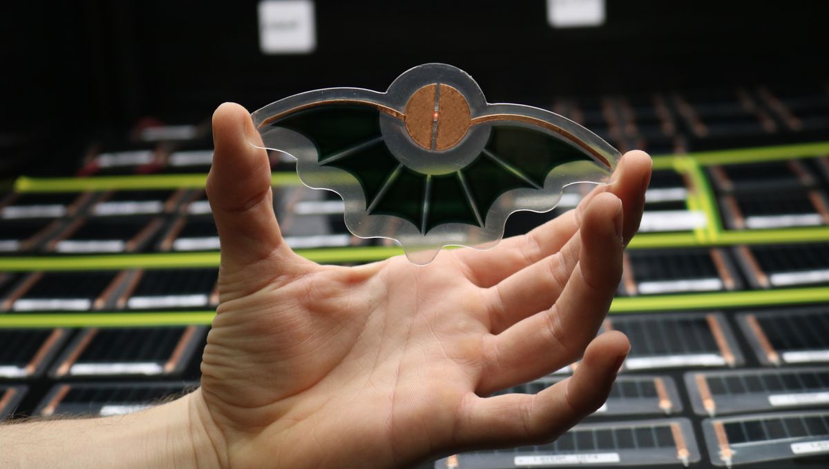 découvrez les photovoltaïques organiques, une solution innovante et durable pour la production d'énergie solaire. apprenez comment ces technologies écologiques transforment l'énergie renouvelable et contribuent à un avenir plus vert.