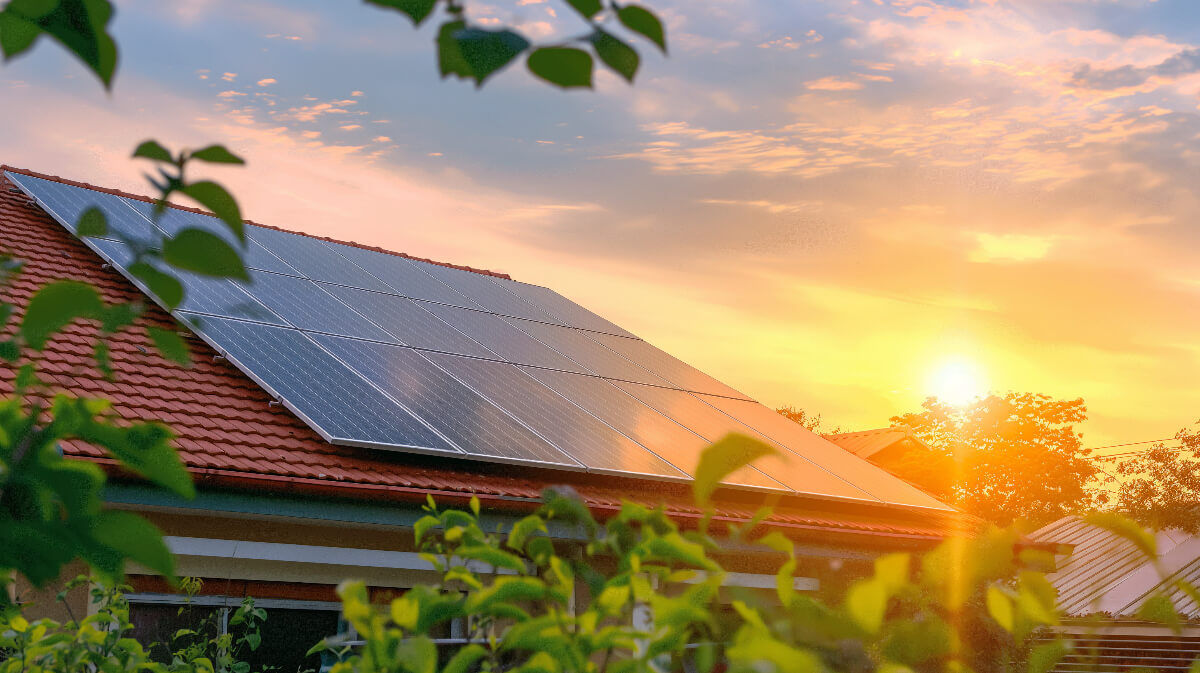 découvrez les prix des panneaux photovoltaïques et les facteurs influenceurs. comparez les options pour adopter une énergie verte et réduire vos factures d'électricité. informez-vous sur les aides disponibles pour votre transition énergétique.