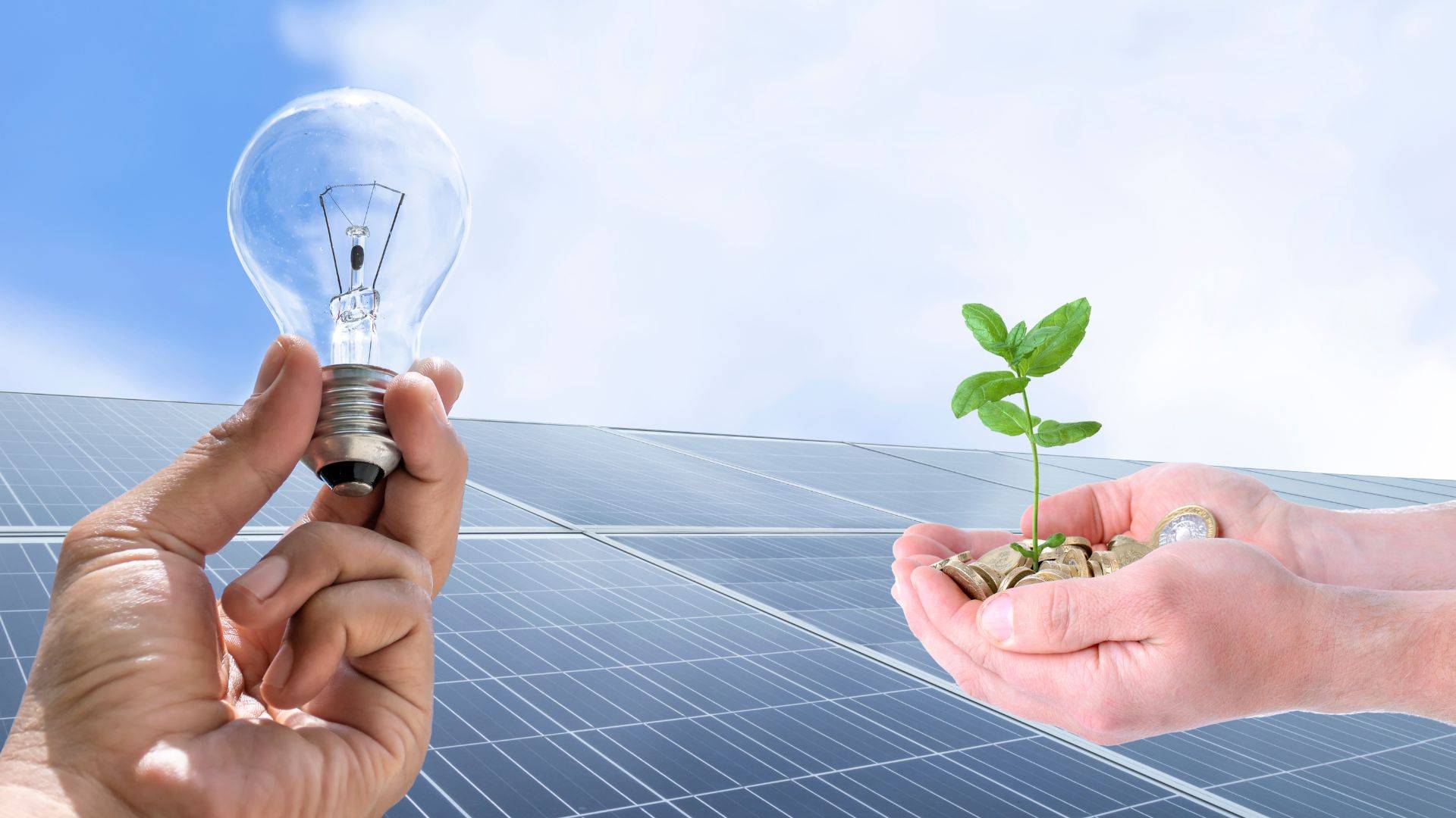 découvrez les différents types de panneaux photovoltaïques et leurs avantages. apprenez comment maximiser votre production d'énergie solaire tout en réduisant votre impact environnemental et vos factures d'électricité. explorez les solutions adaptées pour chaque besoin et transformez votre manière de consommer de l'énergie.