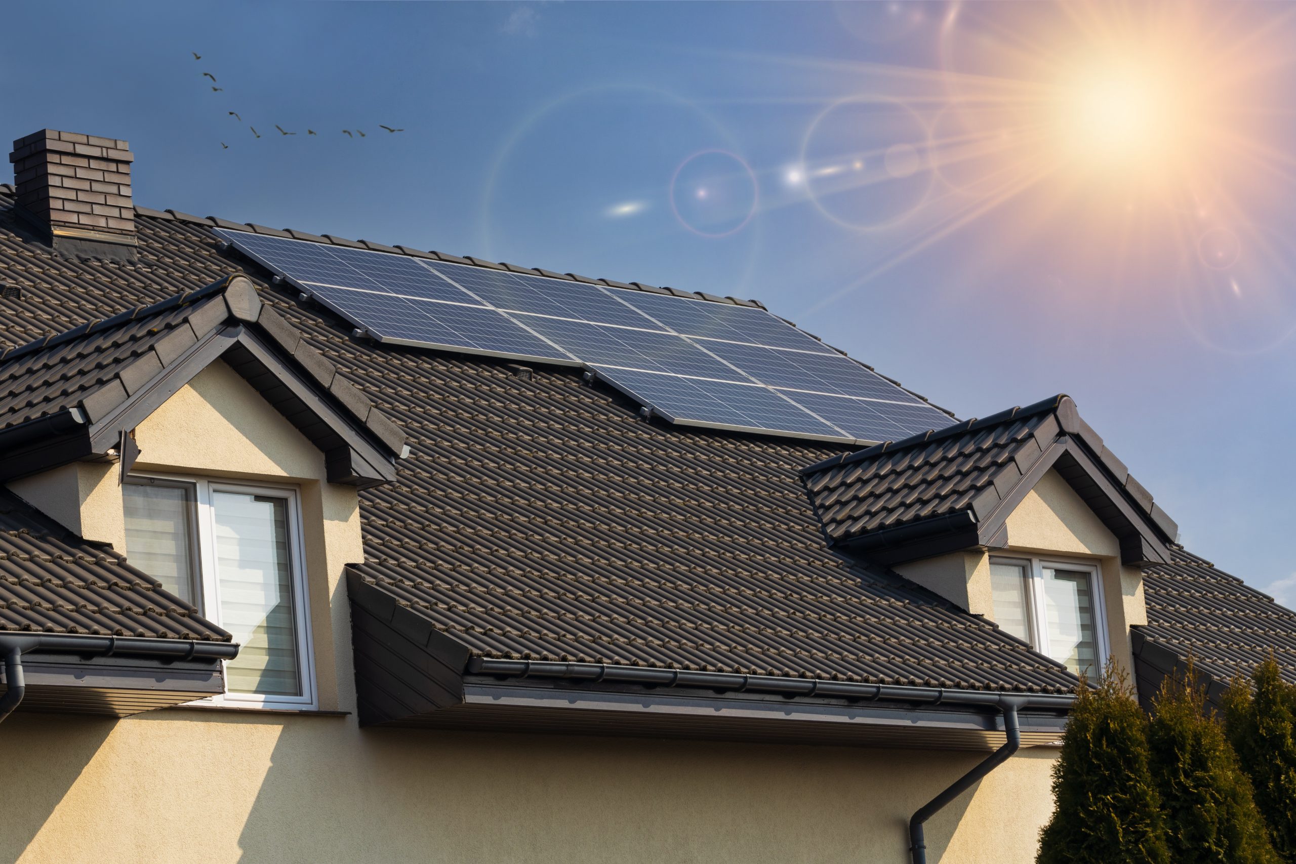 découvrez comment bénéficier de l'éco-ptz pour financer l'installation de panneaux photovoltaïques. optez pour une énergie renouvelable et réduisez vos factures tout en profitant d'une aide financière avantageuse.