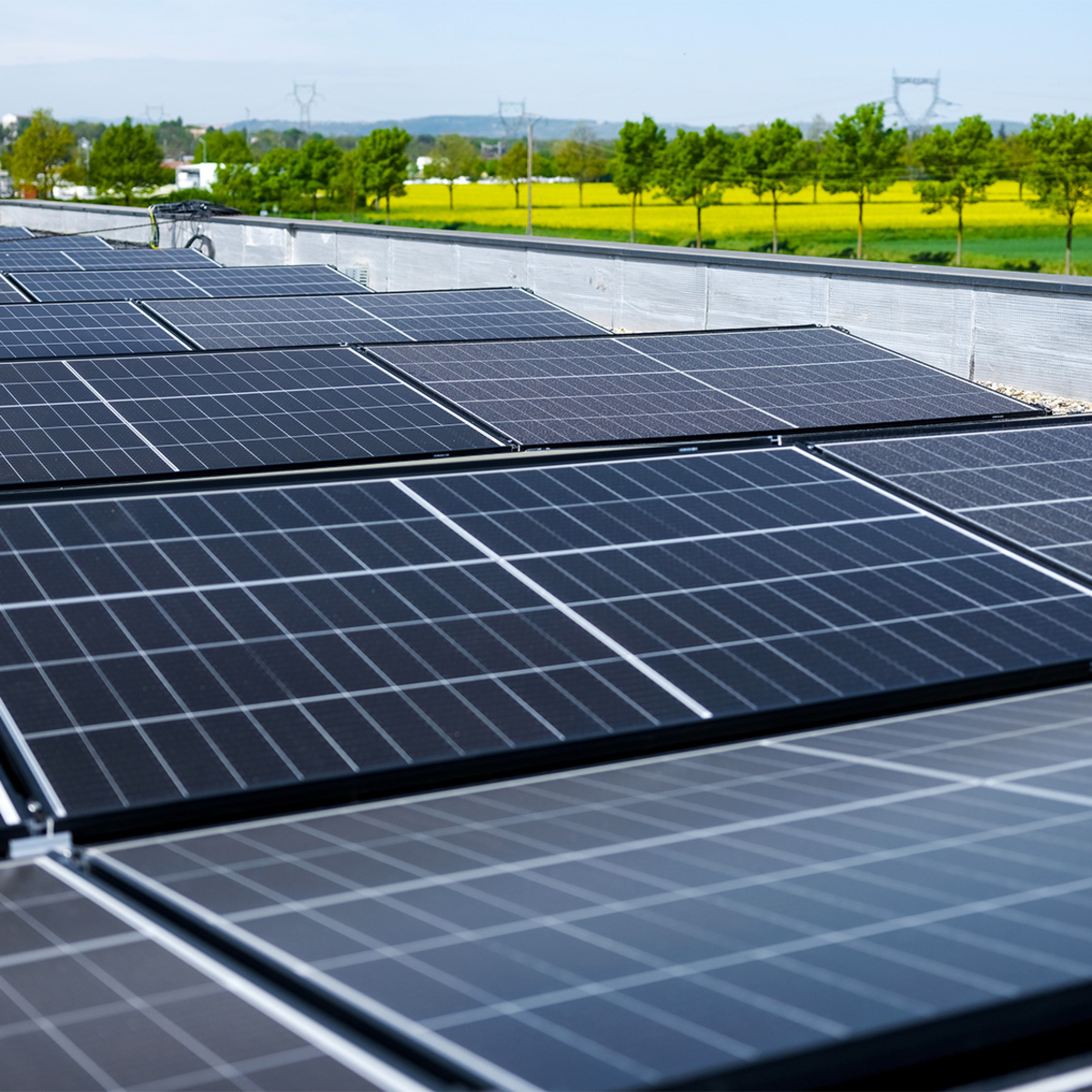 découvrez les prix des panneaux photovoltaïques en allemagne et comparez les offres pour maximiser votre investissement dans l'énergie solaire. informez-vous sur les subventions, les aides et les tendances du marché pour réaliser des économies sur votre facture d'électricité.