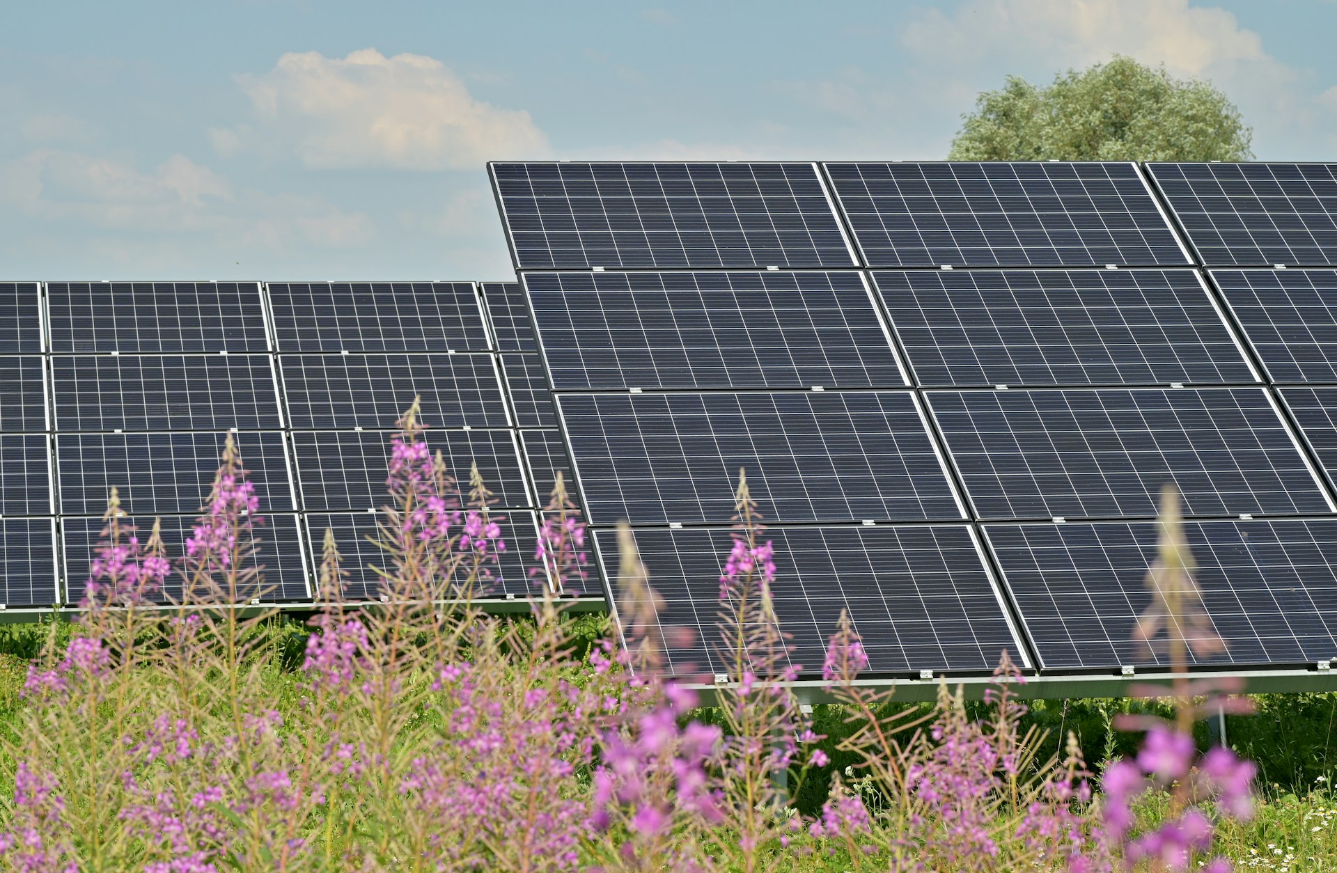découvrez comment maximiser la rentabilité de vos panneaux photovoltaïques grâce à des conseils pratiques et des analyses de coûts détaillées. apprenez à évaluer votre investissement et à optimiser votre production d'énergie durable.
