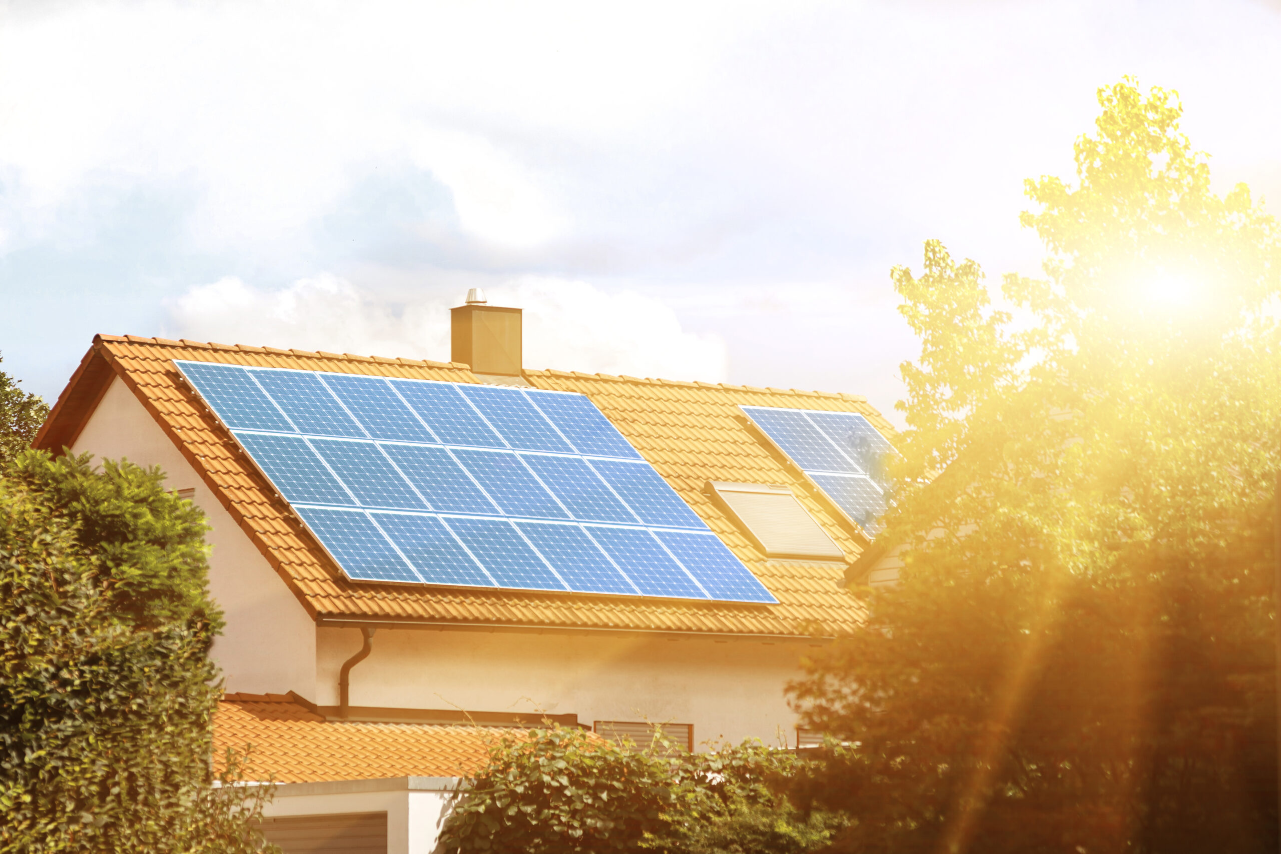 découvrez nos offres compétitives pour l'achat de panneaux photovoltaïques et investissez dans une énergie renouvelable durable. profitez d'économies sur vos factures d'électricité tout en contribuant à la protection de l'environnement.