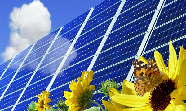 découvrez notre assurance spécialement conçue pour les panneaux photovoltaïques, protégeant votre investissement contre les dommages, les pertes de production et les incidents imprévus. profitez d'une couverture complète pour garantir le bon fonctionnement de votre installation solaire.