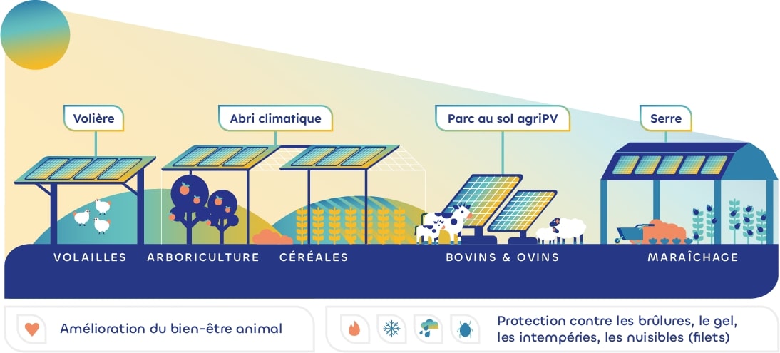 découvrez les avantages et inconvénients des panneaux photovoltaïques : une analyse complète pour vous aider à prendre une décision éclairée sur l'énergie solaire. informez-vous sur les bénéfices financiers, l'impact environnemental et les limites techniques des installations photovoltaïques.