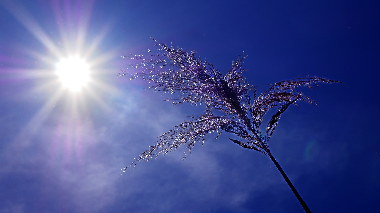 découvrez le bail photovoltaïque, une solution innovante pour produire de l'énergie solaire tout en optimisant l'utilisation de vos surfaces. ce dispositif permet d'acquérir un système photovoltaïque sans investissement initial, tout en bénéficiant de revenus grâce à la revente de l'électricité. informez-vous sur les avantages et les modalités de mise en place d'un bail photovoltaïque.