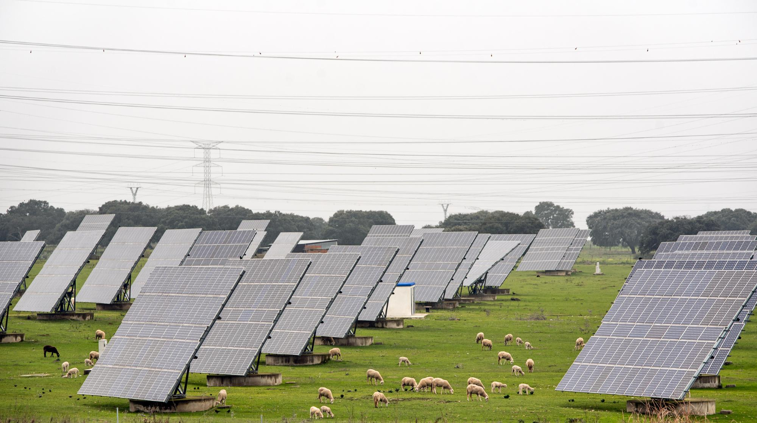 découvrez le bail photovoltaïque, une solution innovante pour investir dans l'énergie solaire sans coûts initiaux. optimisez votre espace en générant des revenus tout en contribuant à la transition énergétique. informez-vous sur les avantages, les modalités et les implications fiscales de cette alternative écologique.