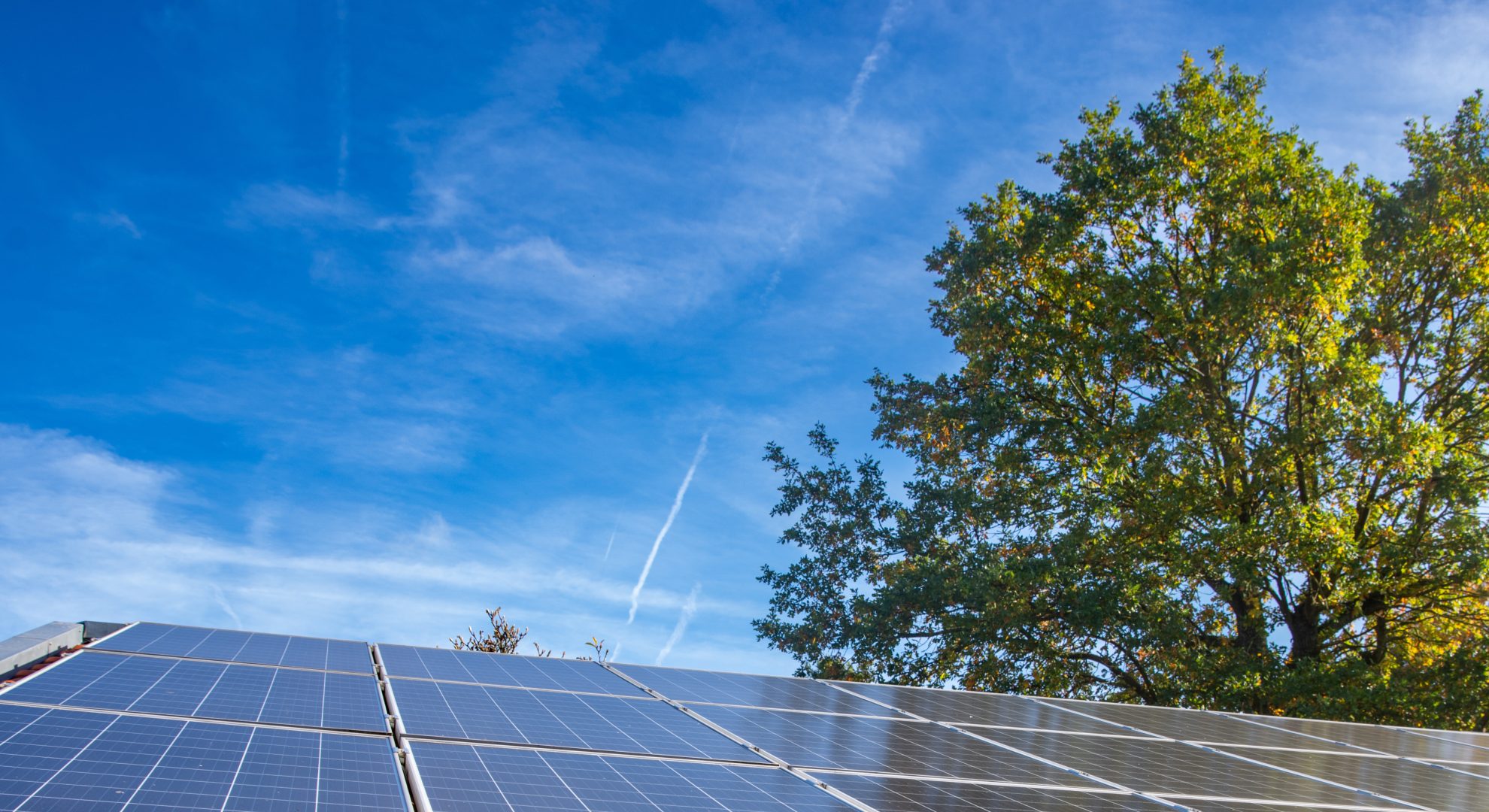 découvrez comment choisir le bon fournisseur de panneaux photovoltaïques pour maximiser votre investissement en énergie solaire. conseils sur la qualité, le service et les garanties.