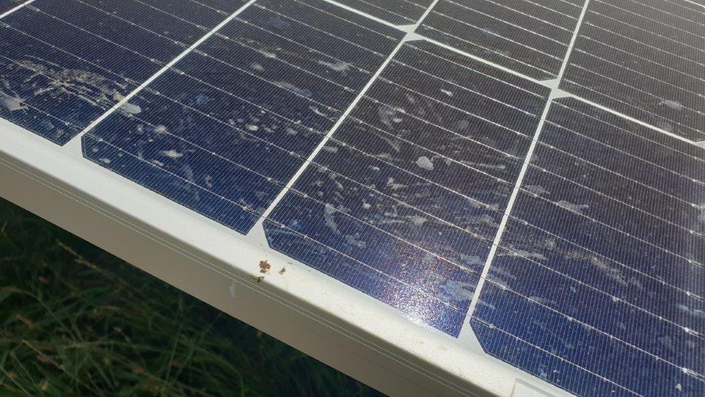 découvrez comment choisir des panneaux photovoltaïques efficaces pour maximiser votre production d'énergie solaire. apprenez à évaluer les meilleures options et à optimiser votre investissement pour un avenir durable.