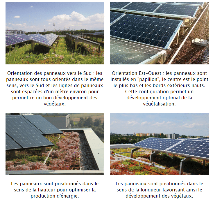 découvrez notre guide complet sur la désinstallation des panneaux photovoltaïques. apprenez les étapes essentielles, les précautions à prendre et les conseils d'experts pour une démarche sécurisée et efficace. simplifiez votre transition énergétique avec nos conseils avisés.