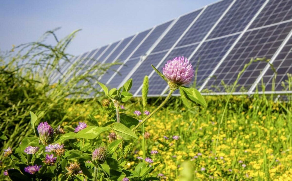 découvrez comment les panneaux photovoltaïques fonctionnent efficacement même par temps nuageux. explorez les technologies innovantes qui maximisent la production d'énergie solaire, indépendamment des conditions météorologiques, et apprenez à optimiser votre système pour des performances optimales tout au long de l'année.