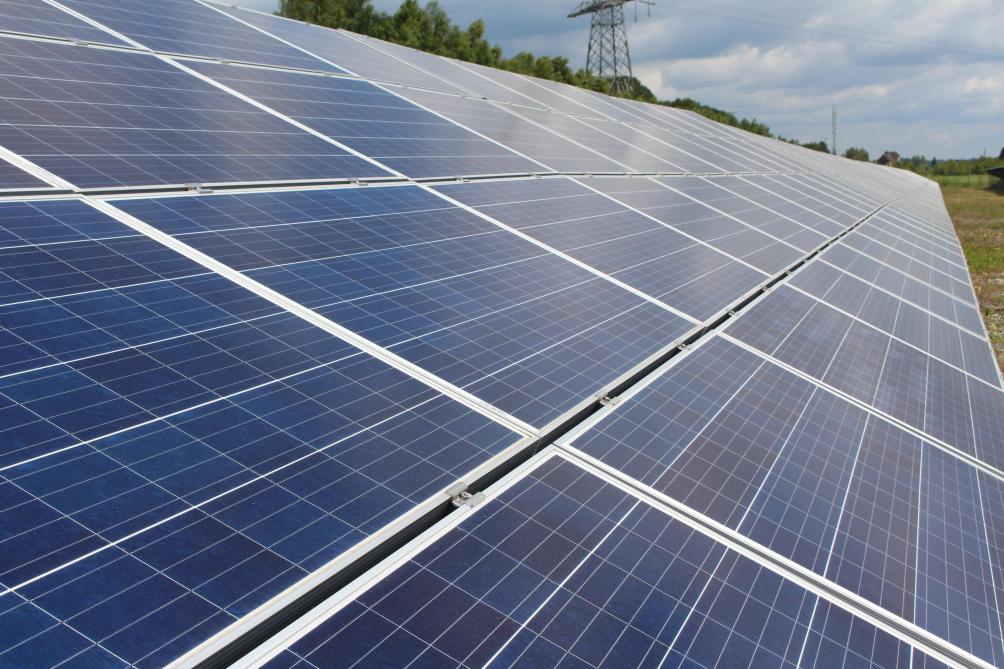 découvrez toutes les dernières actualités et informations sur l'énergie solaire avec sudinfo. explorez les innovations, les projets et les conseils pratiques pour optimiser votre utilisation de l'énergie solaire et contribuer à un avenir plus durable.