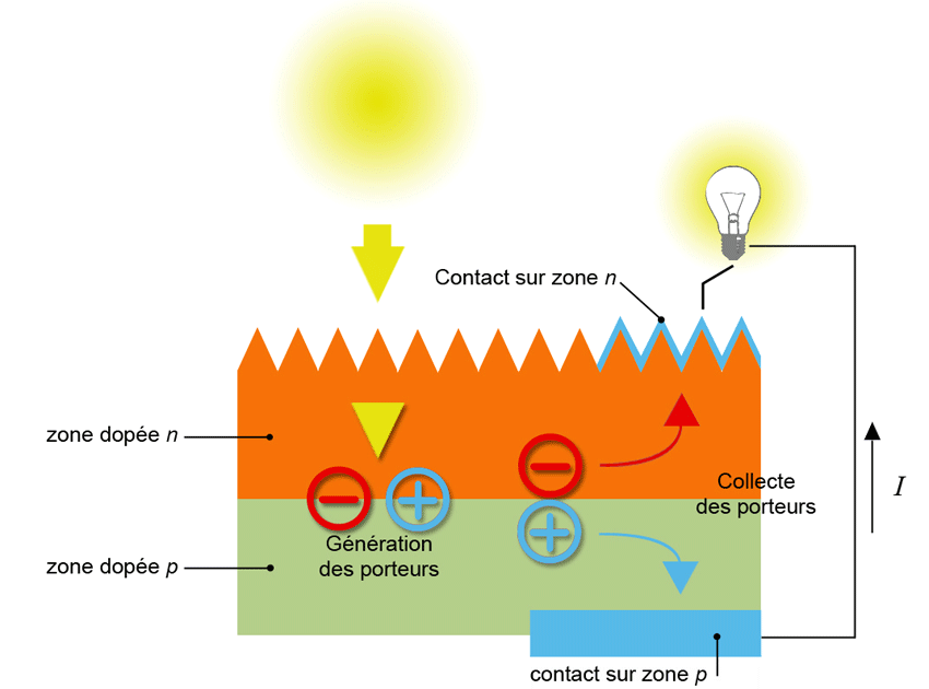 découvrez comment fonctionnent les panneaux photovoltaïques, leur technologie, leur capacité à convertir la lumière du soleil en électricité et comment ils contribuent à la transition énergétique. apprenez les avantages environnementaux et économiques de cette solution durable.