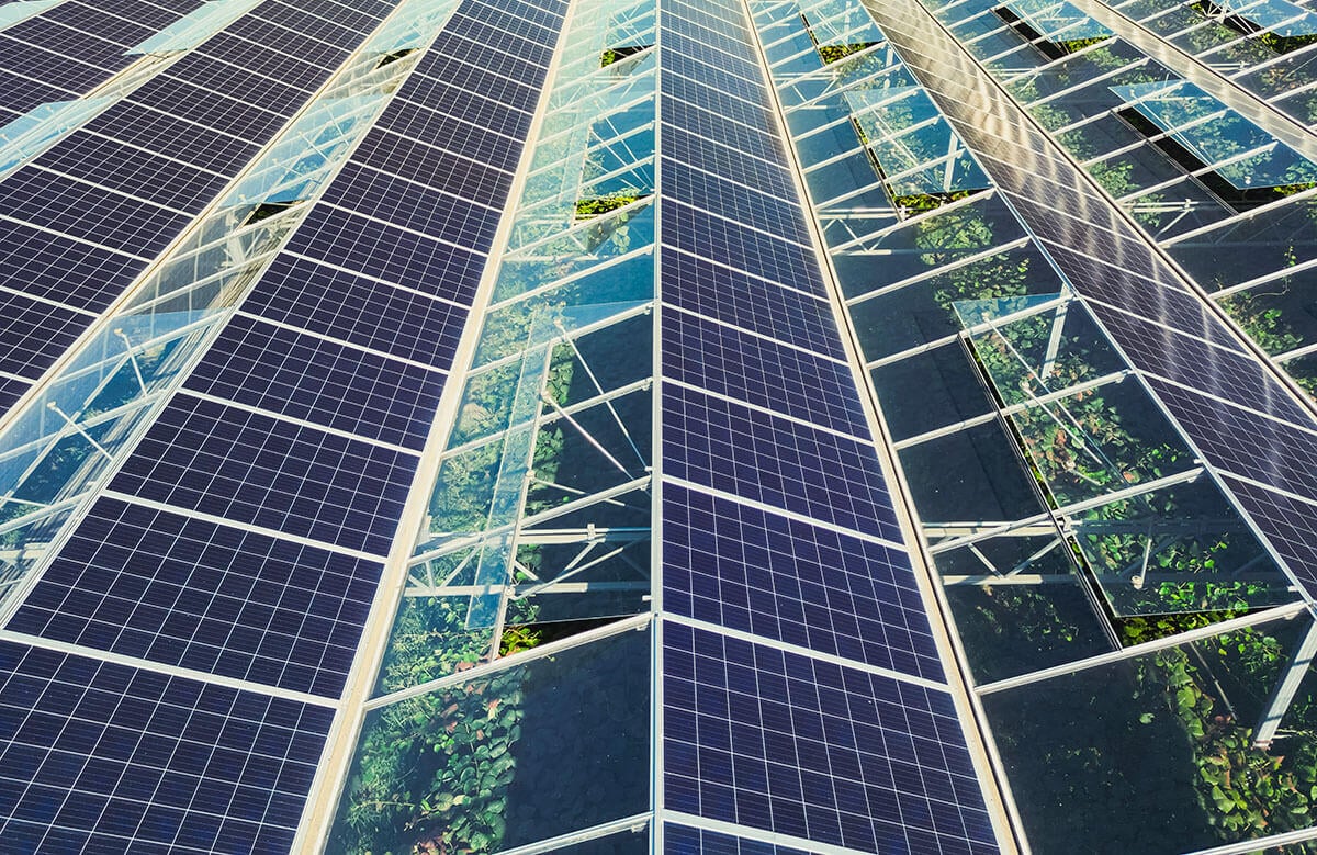découvrez notre guide complet sur les panneaux photovoltaïques : avantages, installation, coûts et conseils pour choisir la meilleure option pour votre maison. maximisez votre investissement en énergie solaire et contribuez à un avenir durable.