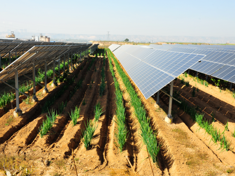 découvrez notre guide complet sur le photovoltaïque en italie : des conseils pratiques pour l'installation de panneaux solaires, des informations sur les subventions disponibles et des astuces pour maximiser votre production d'énergie solaire.