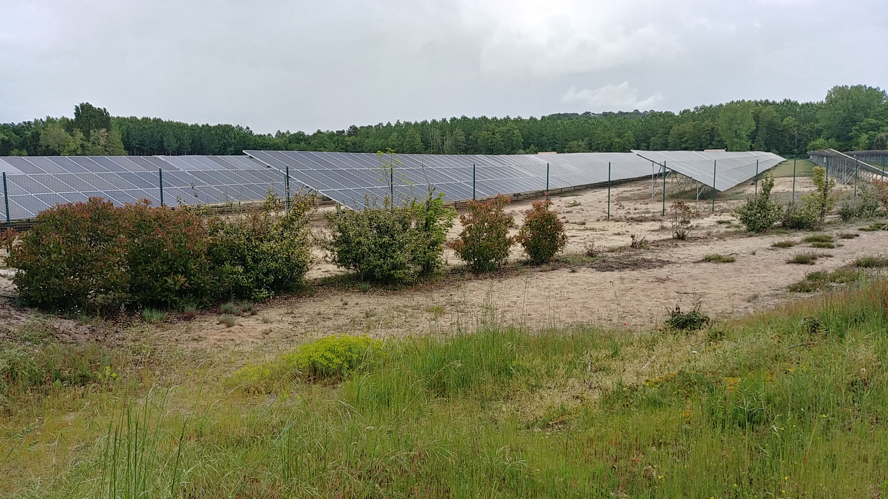 découvrez l'impact climatique des panneaux photovoltaïques : comment cette source d'énergie renouvelable contribue à la réduction des émissions de co2 et à la lutte contre le changement climatique, tout en favorisant une transition énergétique durable.