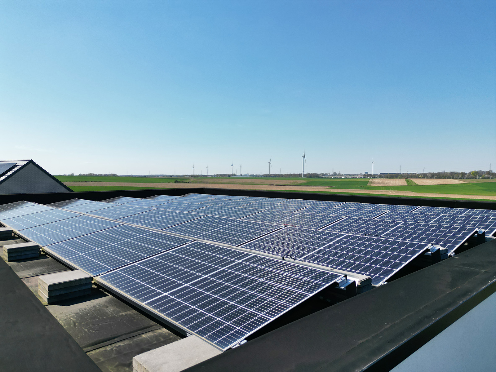 découvrez notre service d'installation de panneaux photovoltaïques à namur. profitez d'une énergie renouvelable, réduisez vos factures d'électricité et contribuez à la protection de l'environnement avec des installations professionnelles et sur mesure.
