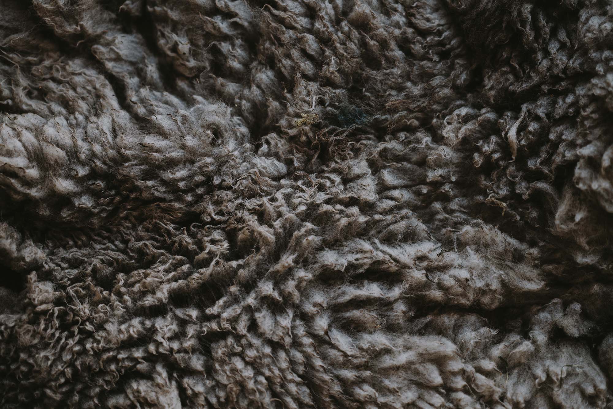 découvrez l'isolation écologique, une solution durable et respectueuse de l'environnement pour améliorer le confort de votre maison tout en réduisant votre impact carbone. optez pour des matériaux naturels et performants qui favorisent une meilleure efficacité énergétique.