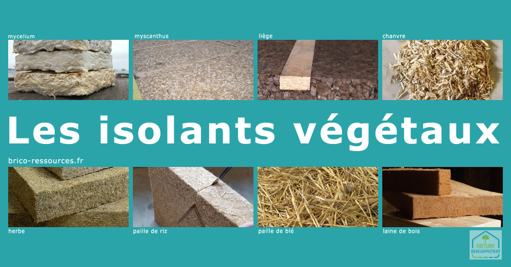 découvrez les avantages de l'isolation écologique pour votre maison. optez pour des matériaux naturels et durables qui réduisent votre empreinte carbone tout en améliorant le confort thermique de votre intérieur. faites le choix d'une maison plus verte!