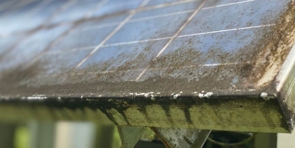découvrez l'importance du nettoyage des panneaux photovoltaïques pour optimiser leur performance et prolonger leur durée de vie. obtenez des conseils pratiques et des recommandations pour assurer l'efficacité de votre installation.
