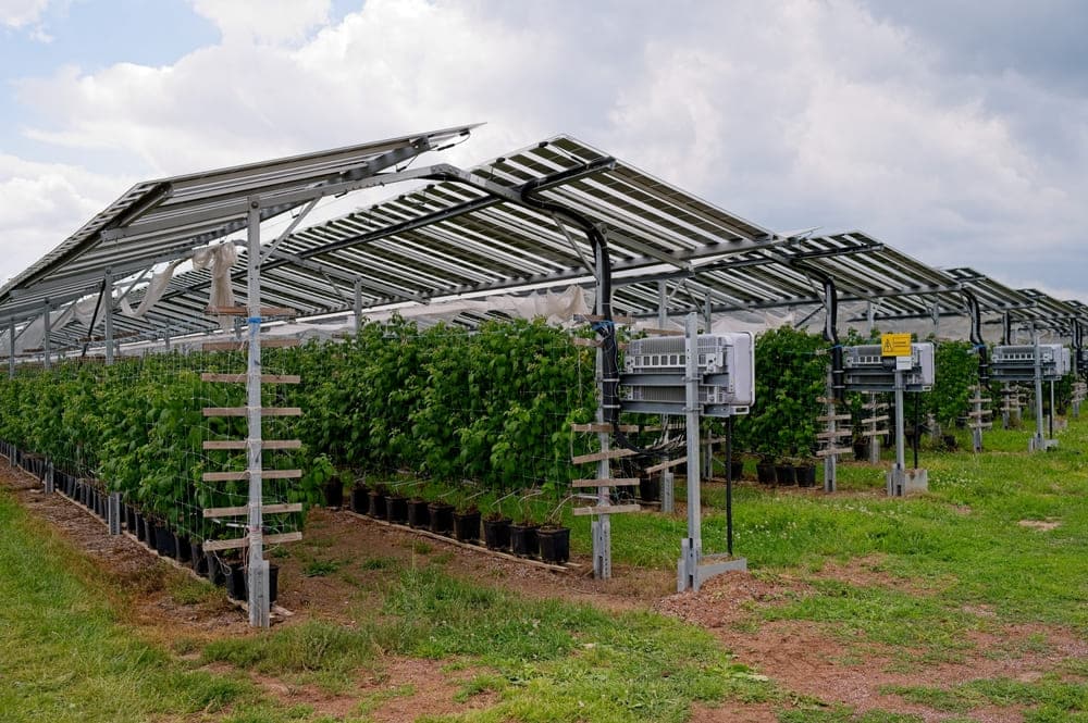 découvrez comment les panneaux photovoltaïques agricoles peuvent transformer votre exploitation en une source d'énergie renouvelable et durable. optimisez vos rendements tout en préservant l'environnement grâce à des solutions innovantes adaptées aux besoins des exploitants agricoles.