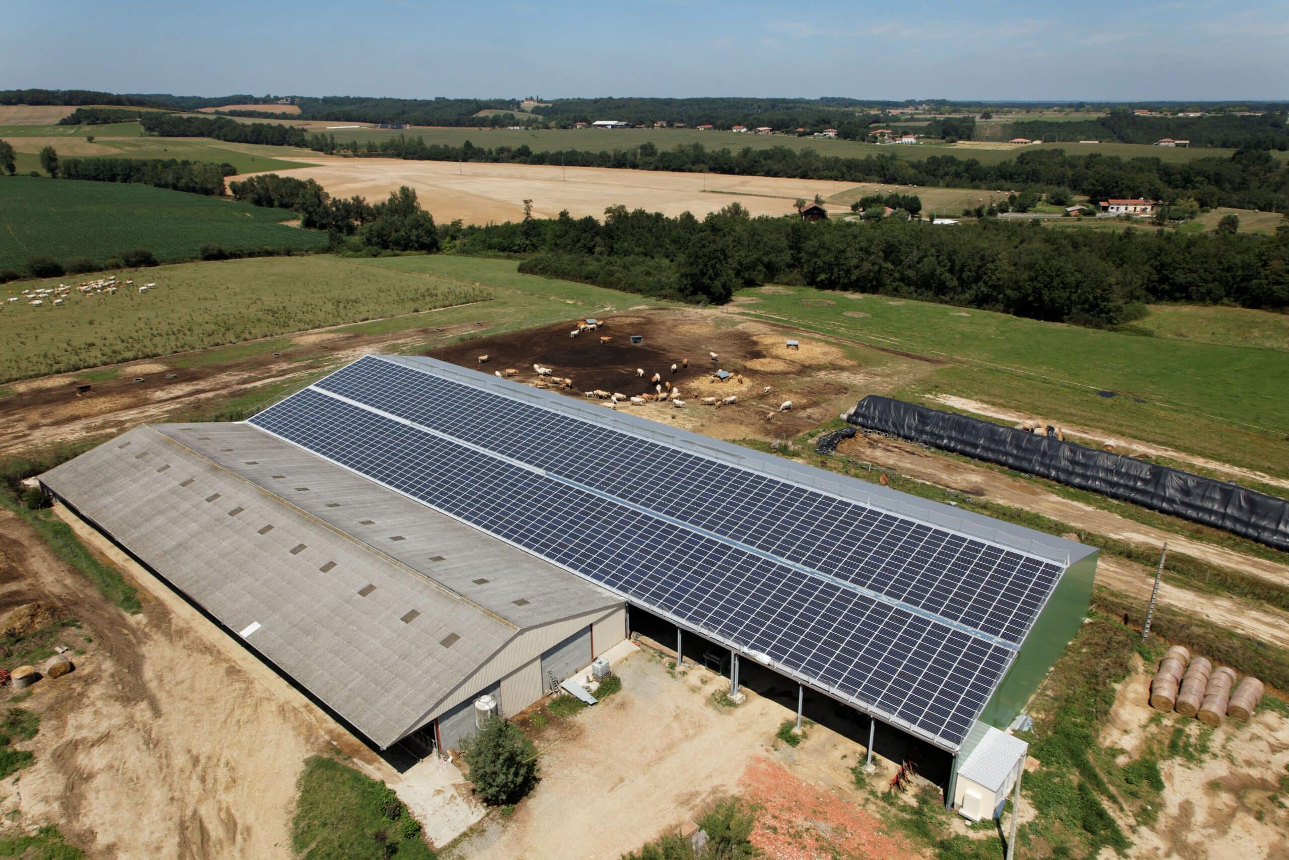 découvrez comment les panneaux photovoltaïques révolutionnent l'agriculture en offrant une source d'énergie renouvelable et en réduisant les coûts d'exploitation. optimisez votre exploitation grâce à l'énergie solaire et contribuez à un avenir durable.