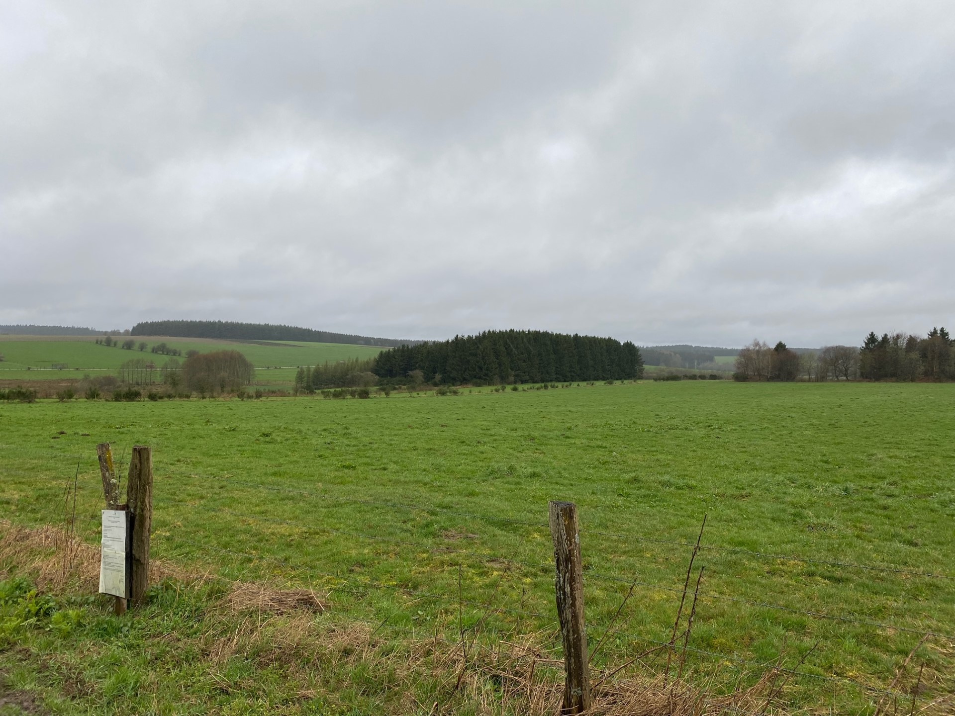 découvrez les avantages des panneaux photovoltaïques en province de luxembourg. optez pour une énergie verte, réduisez vos factures d'électricité et participez à la transition énergétique. informez-vous sur les installations, aides financières et retours sur investissement dans cette région dynamique.