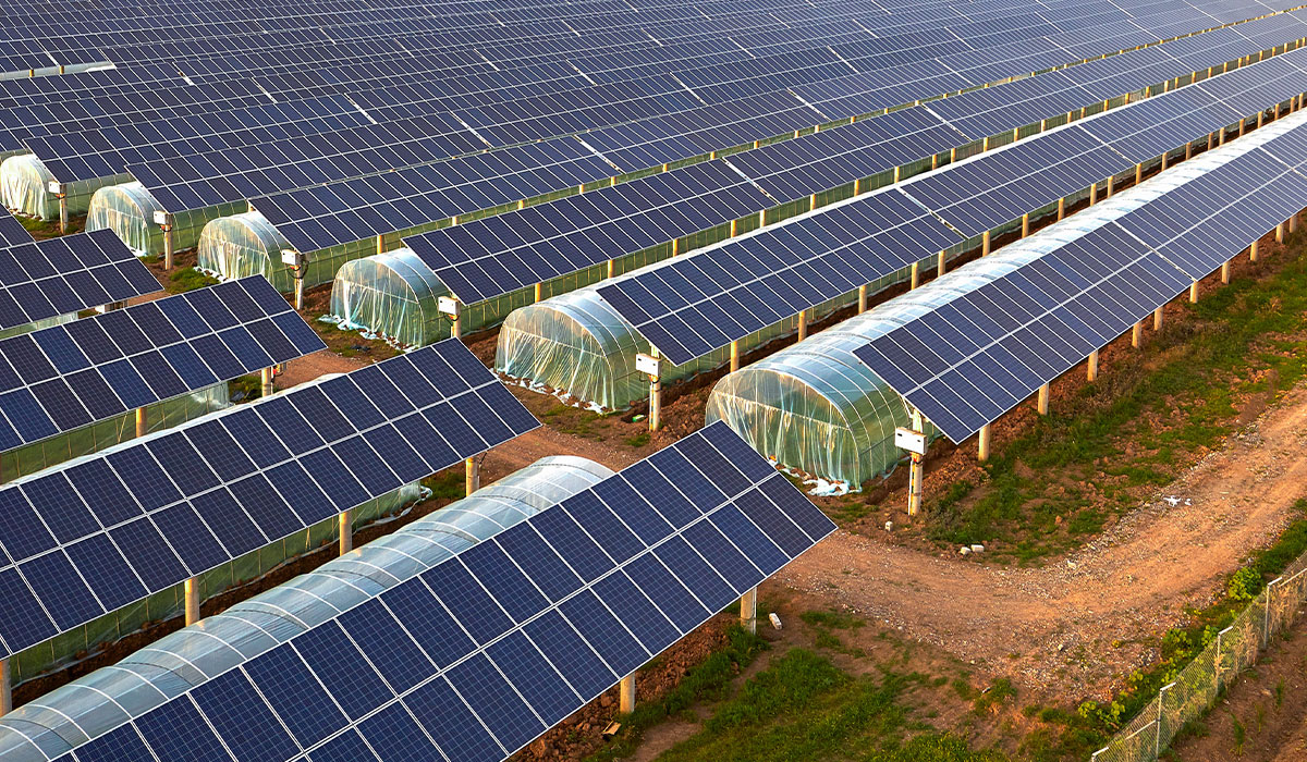 découvrez comment l'installation de panneaux photovoltaïques sur terre agricole peut révolutionner l'agriculture durable. profitez de l'énergie solaire tout en préservant les terres cultivables, une solution innovante pour allier production énergétique et respect de l'environnement.