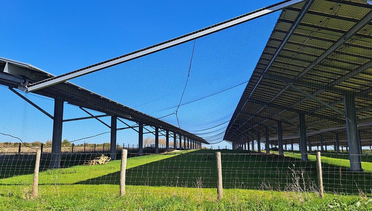 découvrez nos panneaux photovoltaïques en vendée, une solution écologique et économique pour produire votre propre énergie. bénéficiez d'installations de qualité, d'un accompagnement personnalisé et d'économies sur votre facture d'électricité. optez pour une énergie renouvelable et réduisez votre empreinte carbone.