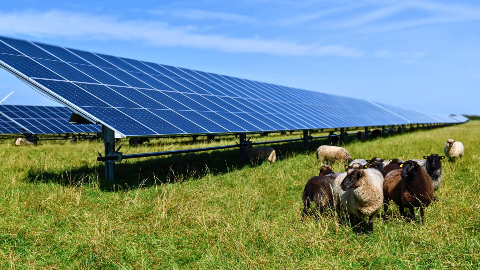 découvrez comment les panneaux solaires transforment l'urbanisme moderne en offrant des solutions durables et écologiques. explorez l'intégration des technologies solaires dans les projets urbains pour une ville plus verte et éco-responsable.