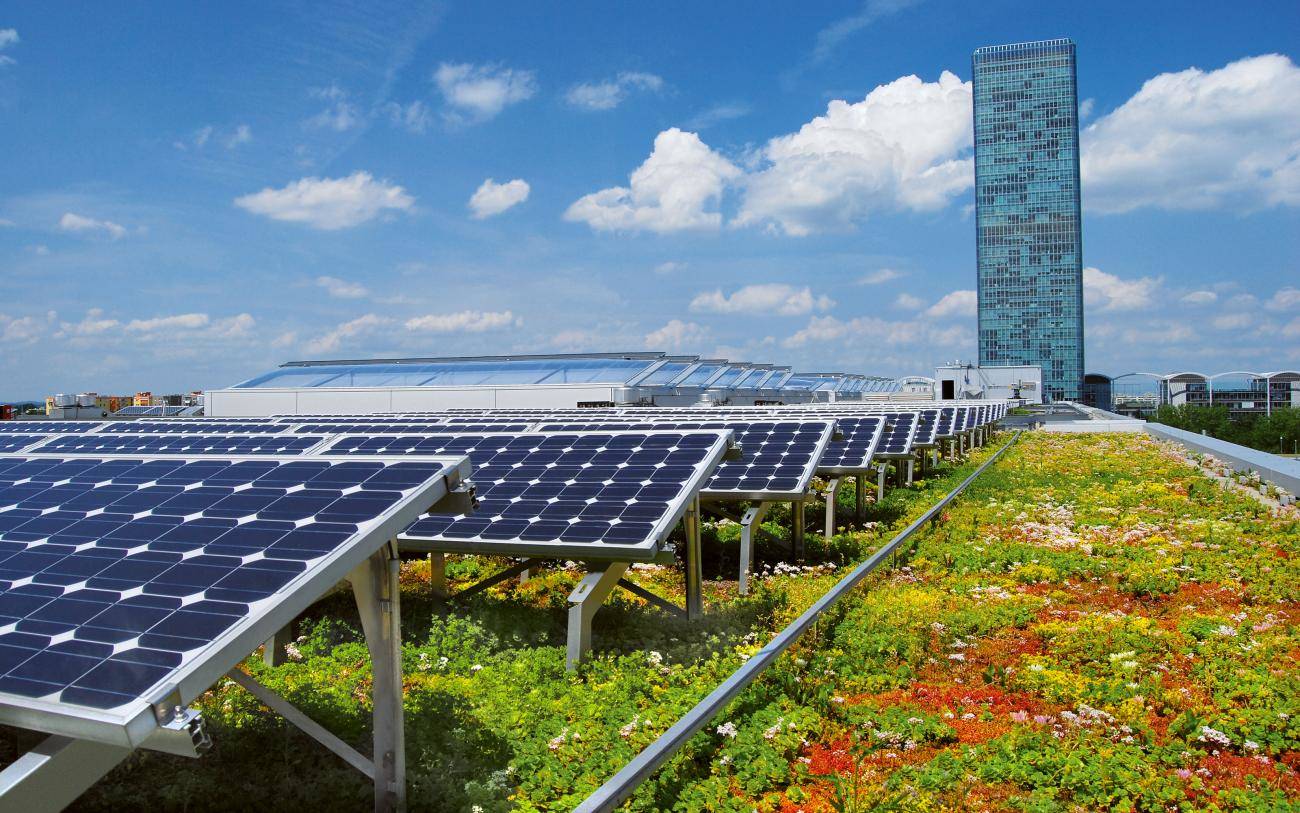 découvrez comment les panneaux solaires pour toiture peuvent transformer votre maison en une source d'énergie renouvelable, réduire vos factures d'électricité et contribuer à la protection de l'environnement. informez-vous sur les avantages, l'installation et les options disponibles pour optimiser votre toit.