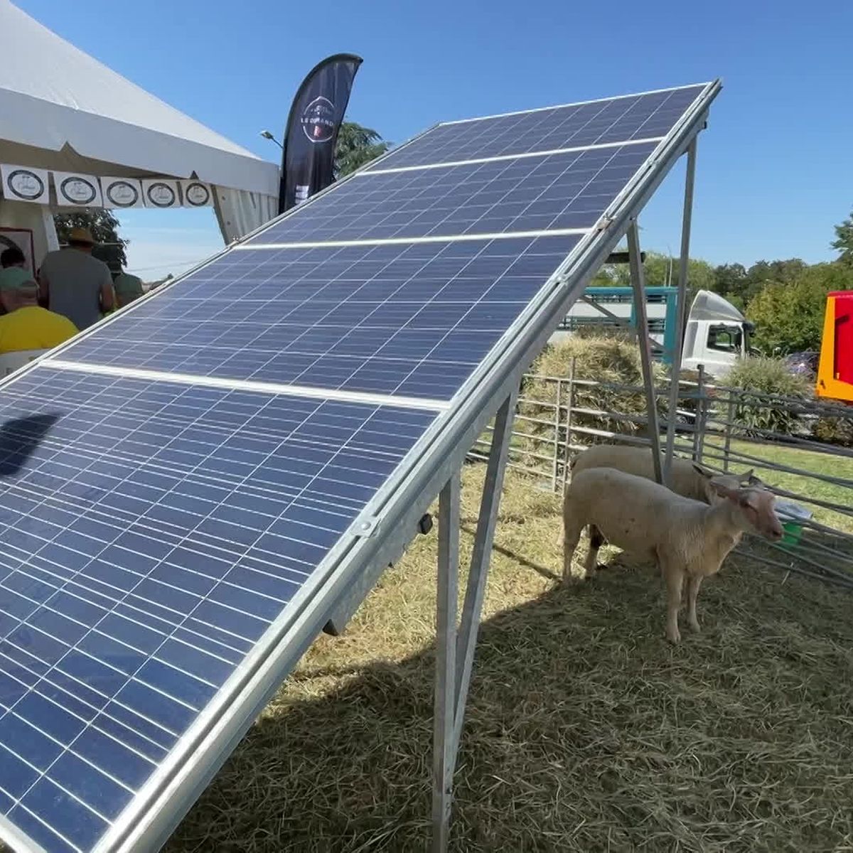découvrez les nombreux avantages des panneaux photovoltaïques dans le morbihan. économies d'énergie, respect de l'environnement, subventions et aides à l'installation : optez pour une solution durable et rentable pour votre maison ou votre entreprise.