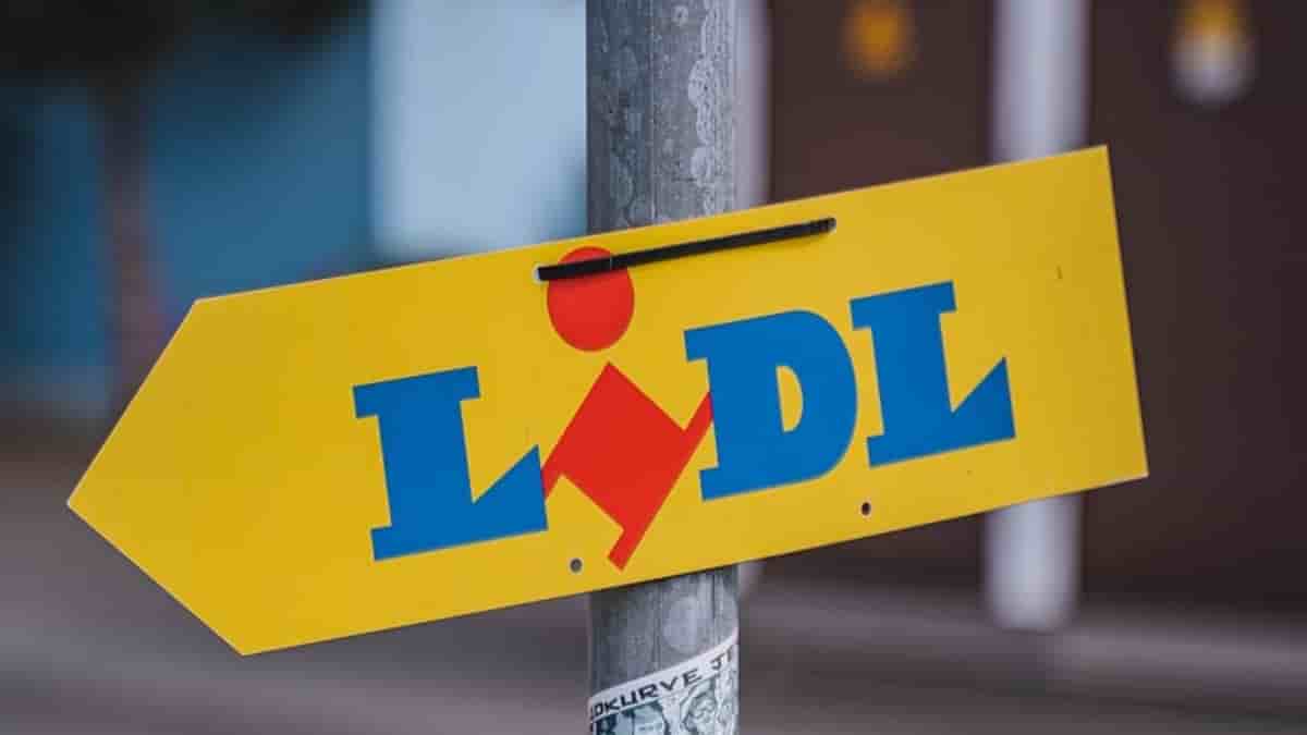 découvrez les prix compétitifs des panneaux photovoltaïques chez lidl. profitez d'offres exceptionnelles pour investir dans des solutions d'énergie renouvelable et réduire votre facture d'électricité tout en contribuant à la protection de l'environnement.