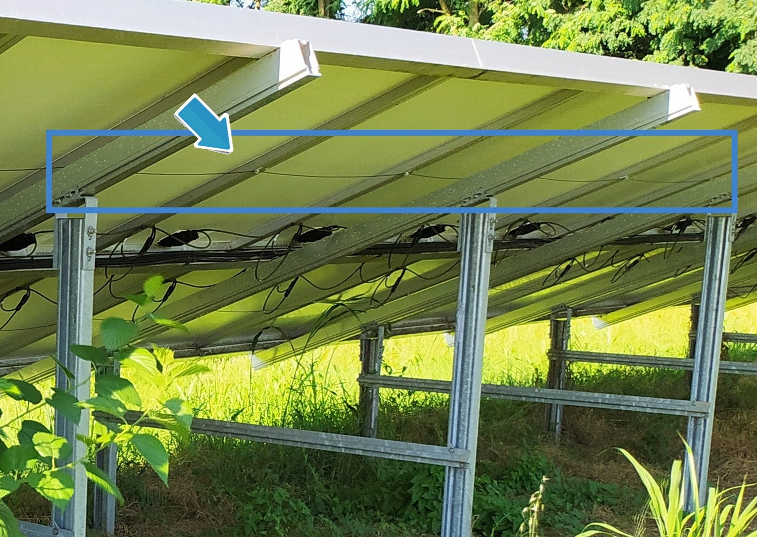 découvrez nos solutions innovantes de protection pour panneaux photovoltaïques, garantissant leur efficacité et leur durabilité face aux intempéries et aux nuisibles. protégez votre investissement tout en maximisant votre production d'énergie solaire.