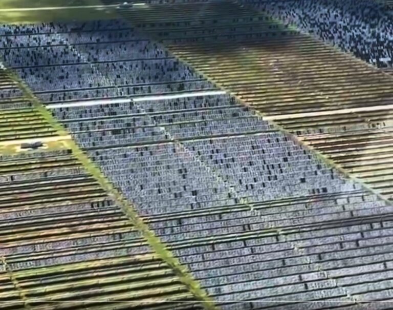 découvrez comment les panneaux photovoltaïques offrent une résistance optimale contre la grêle, garantissant durabilité et performance de vos installations solaires. protégez votre investissement tout en profitant d'une énergie renouvelable fiable.