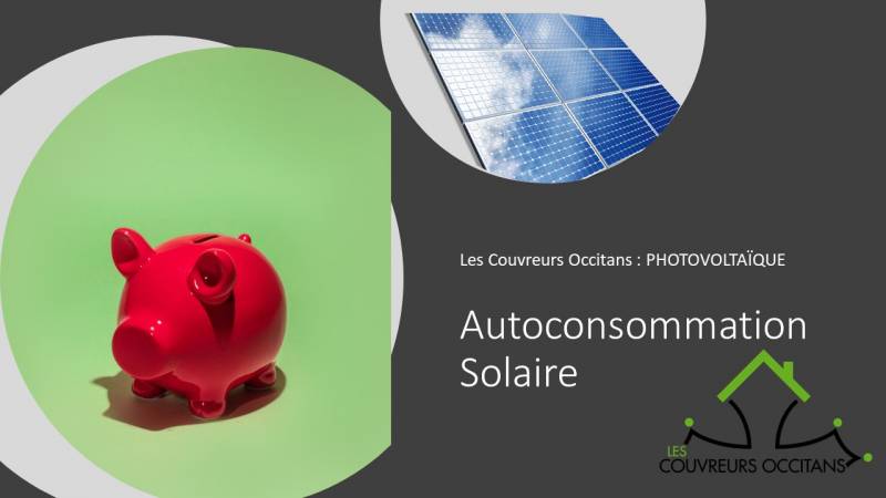 découvrez comment maximiser votre retour sur investissement avec des panneaux photovoltaïques. apprenez les avantages financiers, les économies d'énergie et les subventions disponibles pour rentabiliser votre project solaire efficacement.