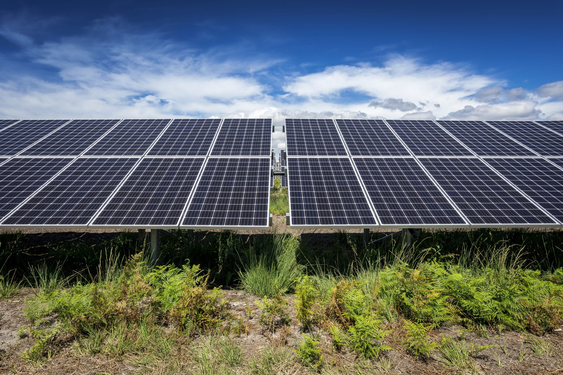 découvrez le rôle essentiel des panneaux photovoltaïques dans la production d'énergie renouvelable. apprenez comment ils transforment la lumière du soleil en électricité, contribuant ainsi à la réduction des émissions de co2 et à la transition énergétique durable.