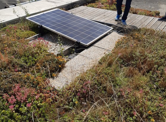découvrez comment optimiser la surface de votre toit avec des panneaux photovoltaïques pour maximiser votre production d'énergie solaire. transformez votre toit en une source d'énergie durable et faites des économies sur vos factures d'électricité tout en préservant l'environnement.